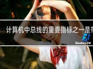 计算机中总线的重要指标之一是带宽
