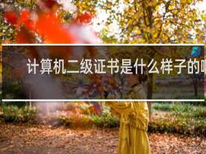 计算机二级证书是什么样子的啊