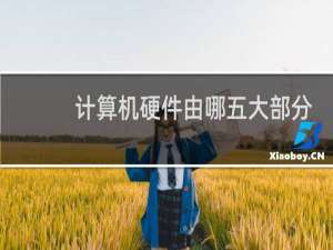 计算机硬件由哪五大部分组成