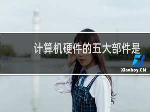 计算机硬件的五大部件是指( )