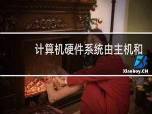 计算机硬件系统由主机和什么组成