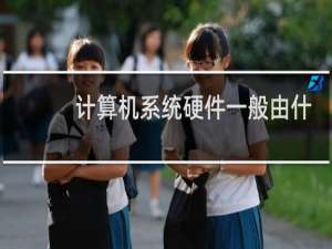 计算机系统硬件一般由什么组成
