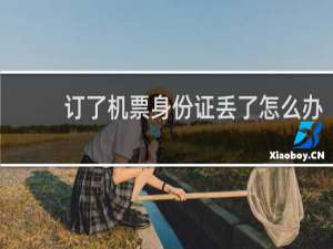 订了机票身份证丢了怎么办