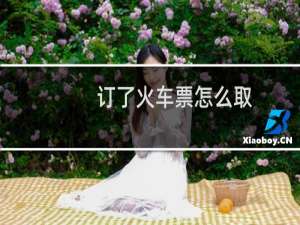 订了火车票怎么取
