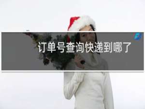 订单号查询快递到哪了
