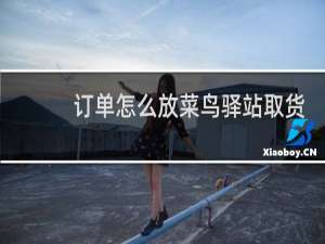 订单怎么放菜鸟驿站取货