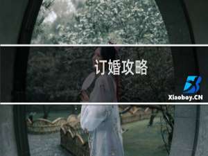订婚攻略