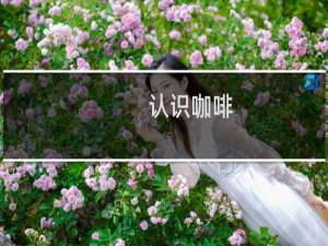 认识咖啡