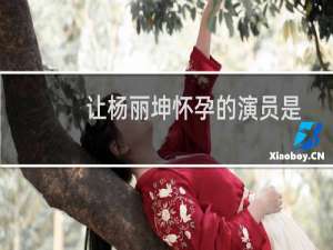 让杨丽坤怀孕的演员是