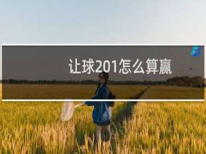 让球 1怎么算赢