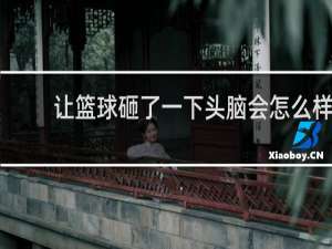 让篮球砸了一下头脑会怎么样