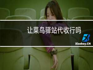 让菜鸟驿站代收行吗