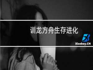 训龙方舟生存进化