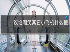 议论嘲笑其它小飞机什么梗