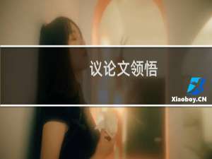 议论文领悟