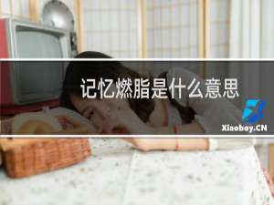 记忆燃脂是什么意思