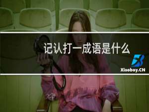 记认打一成语是什么