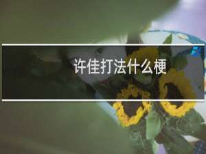 许佳打法什么梗