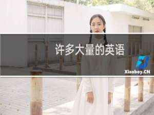 许多大量的英语