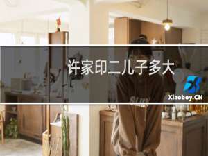 许家印二儿子多大（许家印的儿子大儿子叫做许智健小的叫做许熙浩）