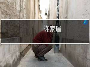 许家瑞