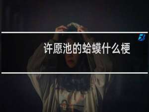 许愿池的蛤蟆什么梗