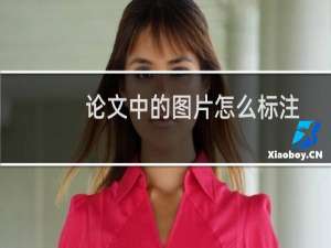 论文中的图片怎么标注