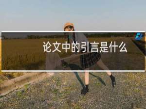 论文中的引言是什么