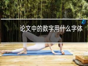 论文中的数字用什么字体