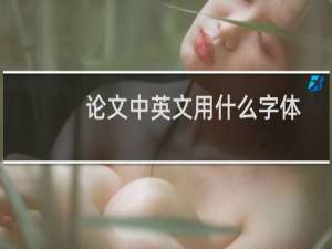 论文中英文用什么字体