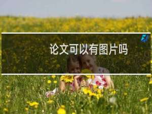 论文可以有图片吗