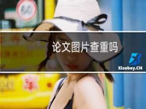 论文图片查重吗