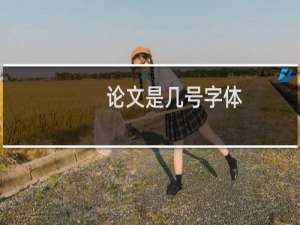 论文是几号字体