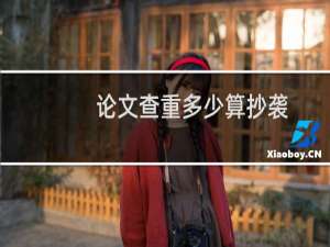 论文查重多少算抄袭