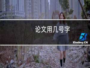 论文用几号字