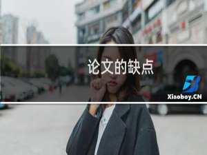 论文的缺点