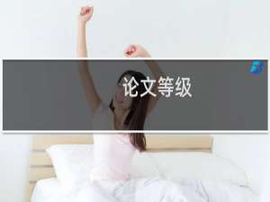 论文等级