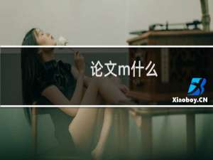 论文m什么