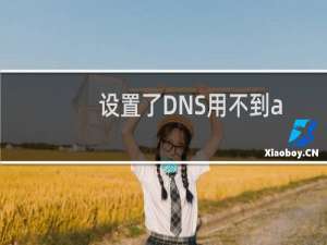 设置了DNS用不到a0243.cn