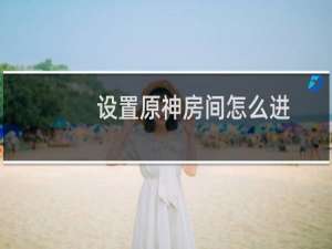 设置原神房间怎么进