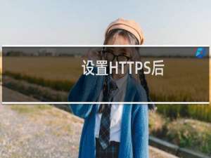 设置HTTPS后，再.htaccess加入了301，但是没有