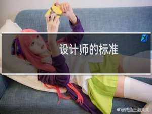 设计师的标准