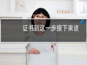 证书到这一步接下来该操作啥啊