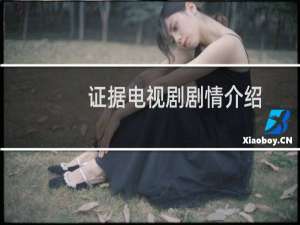 证据电视剧剧情介绍