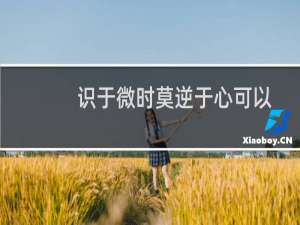 识于微时莫逆于心可以形容友情吗（识于微时莫逆于心意思）