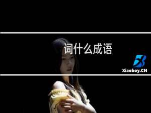 词什么成语