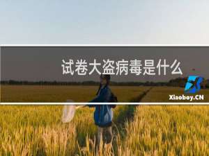 试卷大盗病毒是什么