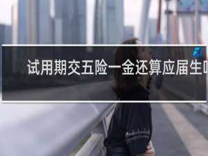 试用期交五险一金还算应届生吗