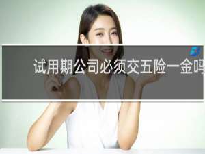 试用期公司必须交五险一金吗