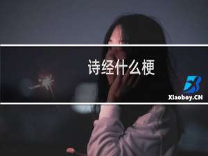 诗经什么梗